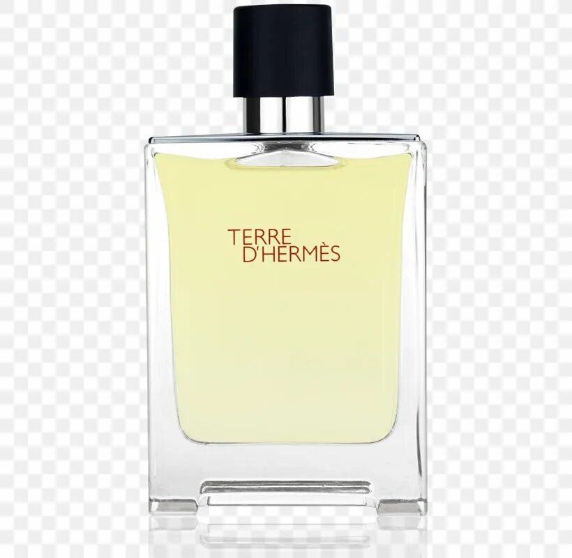 Туалетная вода hermes terre. Terre d'Hermes. Terre d Hermes. Парфюмерная вода Hermes Terre. Terre d Hermes Парфюм.