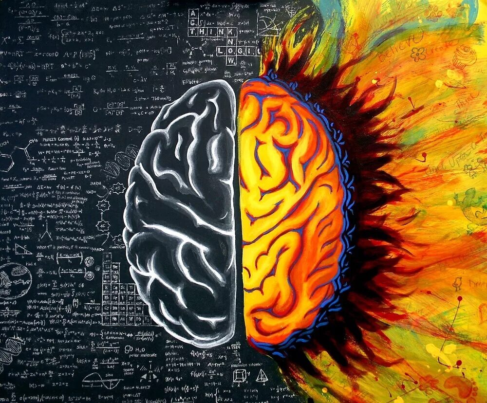 Полушария мозга арт. Правое и левое полушарие мозга арт. Мозги арт. Мозг арты.