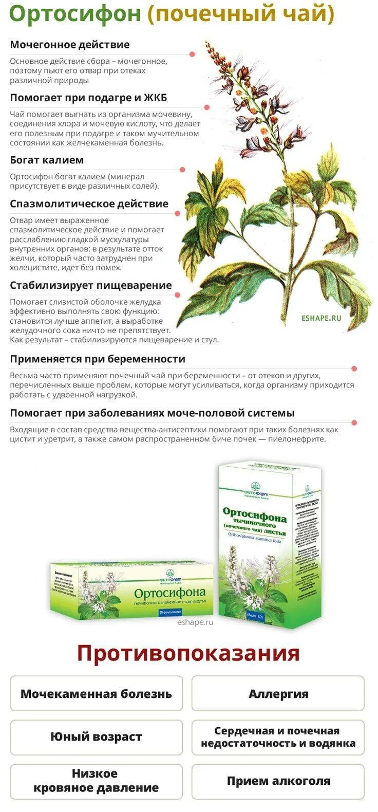 Травяной сбор от отеков. Почечный сбор ортосифон тычиночный. Желудочно-кишечный сбор травы алтая. Чай для выведения камней. Почечный чай трава.