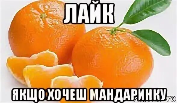 Песня мандарин из евгенича. Клип ольги бузовой бузовой мандаринка. Мандарин песня. Статусы про мандаринки. Статусы про мандаринки.