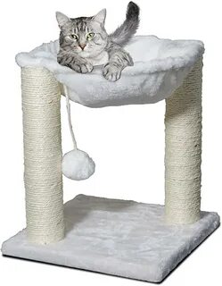 Кошка колонна