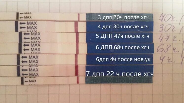 Тесты на беременность по дням. Тест на 5 день после переноса. ХГЧ на 6 ДПП. 6 День после переноса.