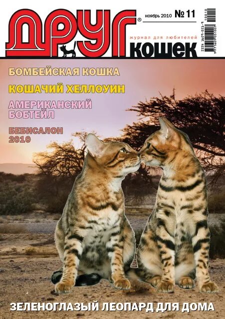 Сайт журнала друг. Журнал друг кошек. Журнал друг кошек 2023. Кошка читает журнал.