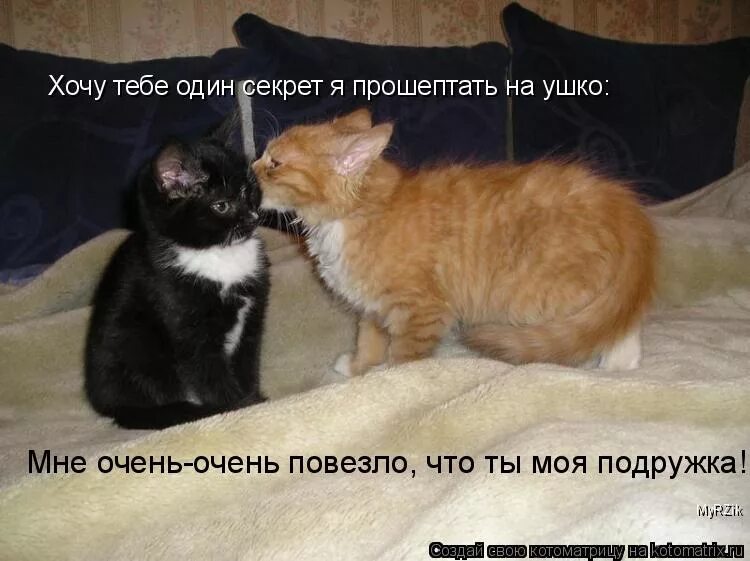 Хочу 3. Мне очень повезло с тобой. Я шепну тебе на ушко. А мне очень хочется тебя. Шепну на ушко приколы.