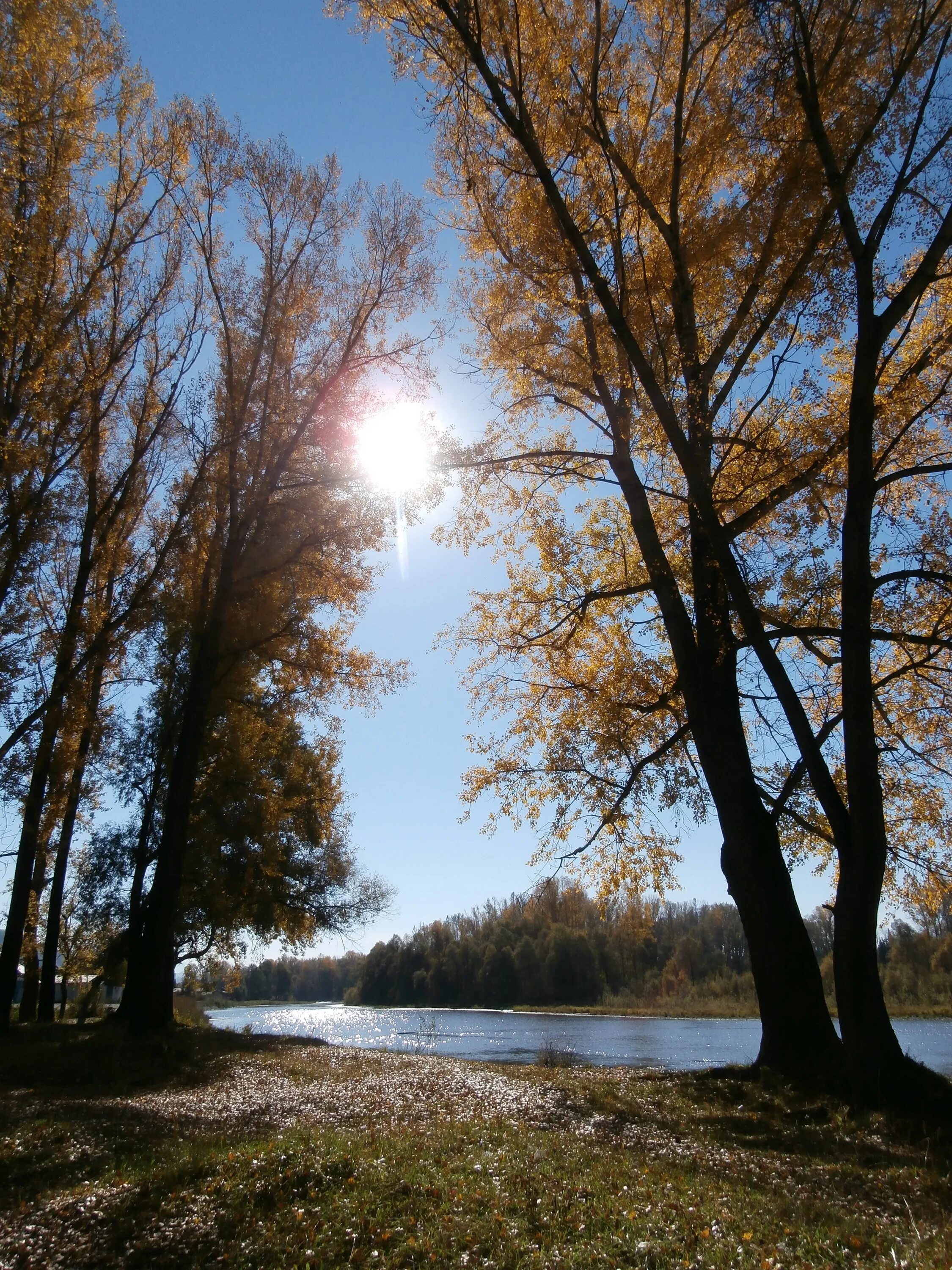 Вновь середина. Ноябрь природа. Осень река. На речке. Вода река осень.