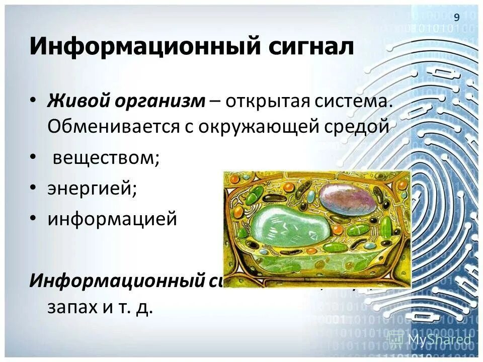 Фазовая манипуляция. Виды информационных сигналов. Информационные сигналы примеры. Тактовая частота сигнала. Информационный сигнал.