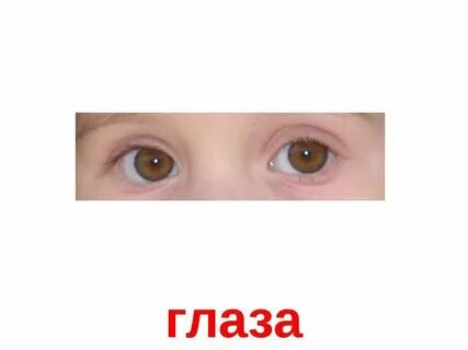 Теле ока