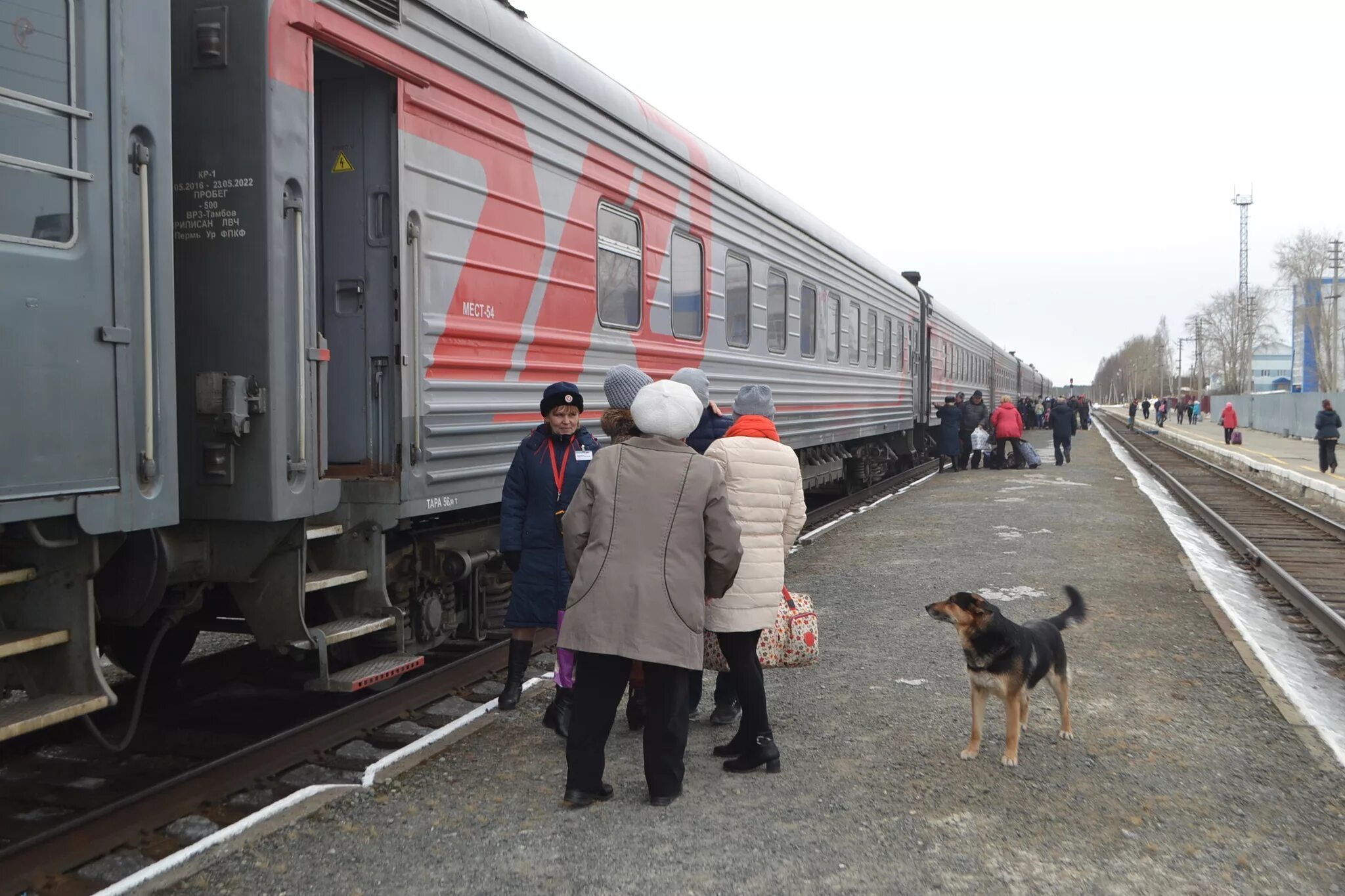 Поезд Серов Приобье. Электричка Серов Приобье. Поезд Екатеринбург Приобье. Железная дорога Серов.