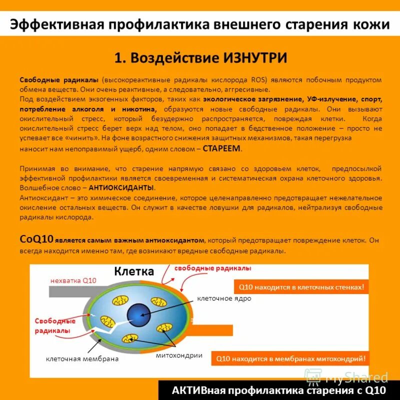 методы профилактики старения