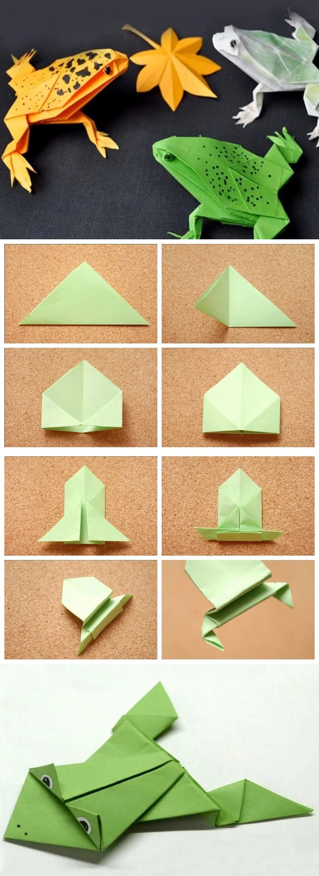 Как сделать лягушку из бумаги. Лягушка оригами из бумаги прыгающая. Оригами из бумаги для детей лягушка поэтапно. Лягушка попрыгушка оригами. Лягушка оригами простая для детей.