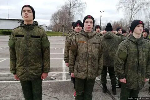 Сборы в ноябре 2024