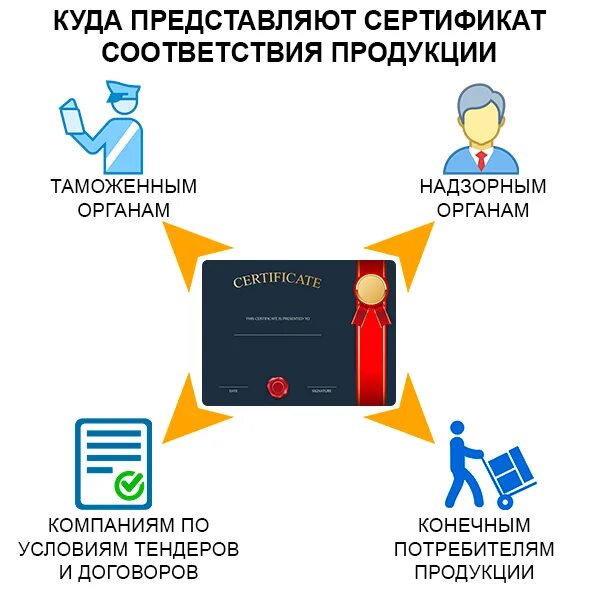 паспорт вакцинации форма 156/у-93. где забирать сертификаты. сертификат централизованного тестирования. сертификат оригинальности. сертификат прививок книжка.