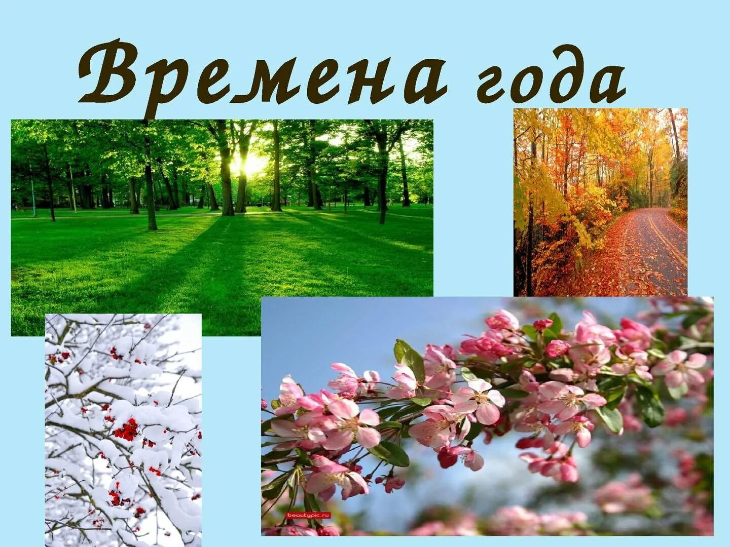 Времена года зима весна лето осень. Дата создания времена года. Пейзаж по временам года. Дата создания времена года. Времена года.
