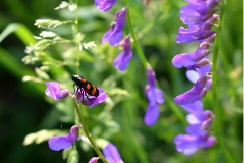 i?id=87585e53abc41fc7c64ade1956295996-24