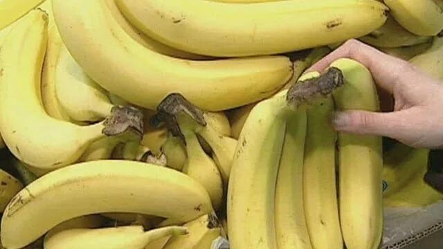 Откуда повезут бананы в россию. Бананы Казахстан.