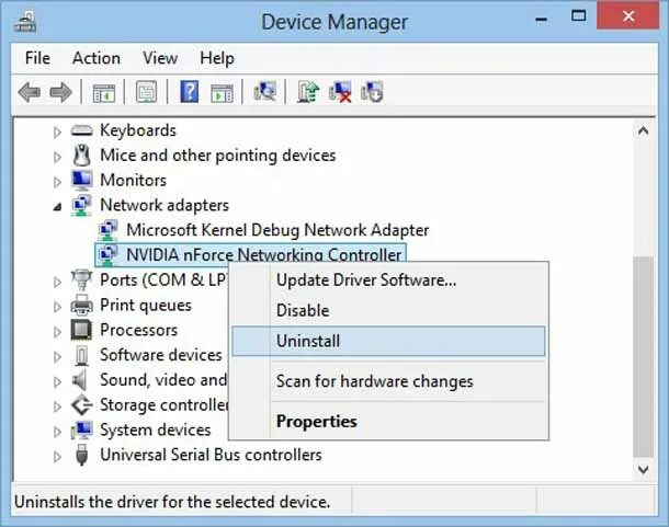Nvidia nforce controller. Сетевой адаптер nvidia nforce. nvidia nforce networking controller. нфорс нетворк контроллер. microsoft kernel debug network adapter.