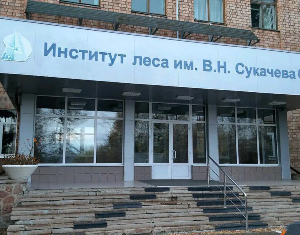 институт леса со ран. институт леса со ан ссср в красноярске. институт леса им в. институт леса красноярск. институт леса имени сукачева красноярск.