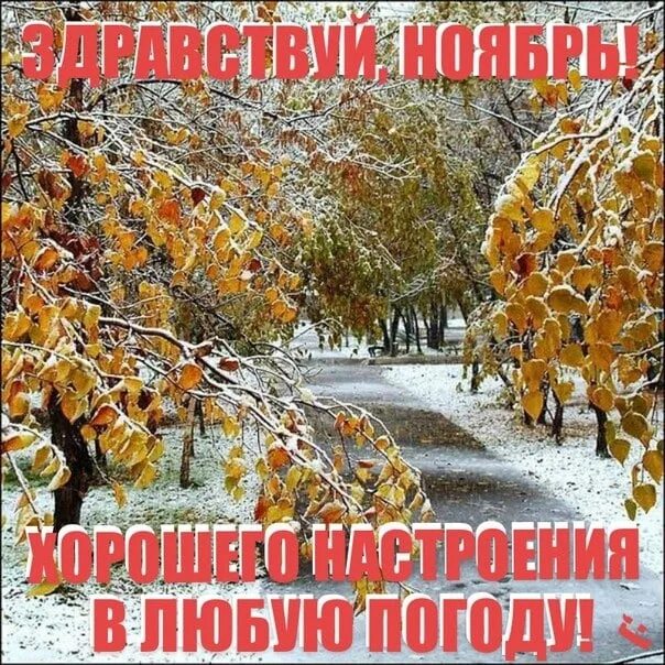 В россии последнее воскресенье ноября. С последним днем ноября. Ноябрь последний месяц осени. С последним днем ноября осени. С арслелним песяцем осени.