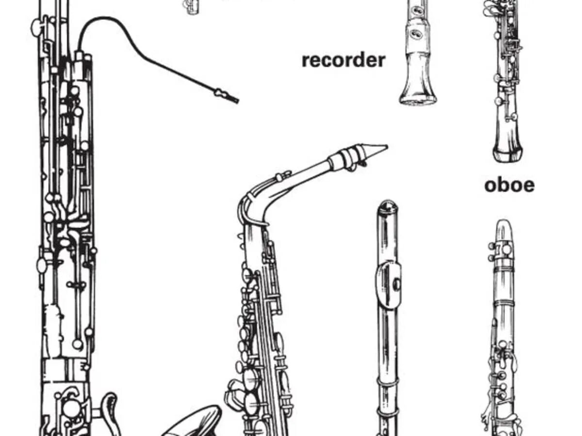 Кларнет и фагот. Флейта гобой кларнет Фагот. Фагот деревянный духовой музыкальный инструмент. Кларнет гобой Фагот музыкальный инструмент-. Музыкальные инструменты флейта гобой кларнет Фагот.