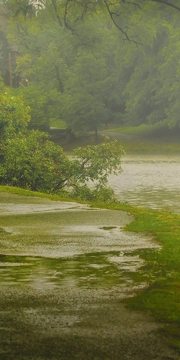 Raining rivers. Природа дождь. Ливень в природе. Дождь на реке. Красивый пейзаж природы дождь.