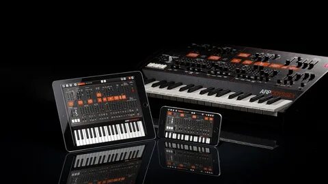 Бархатный лофт korg s