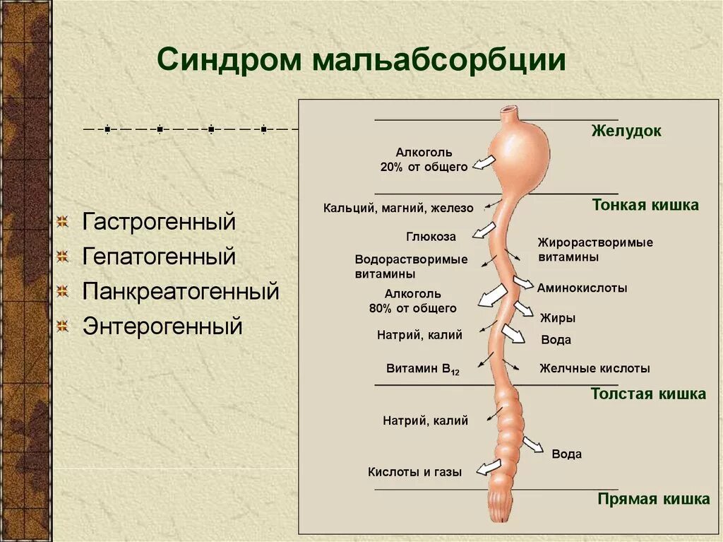 Синдром мальабсорбции что это такое. Синдром мальабсорбции. Мальабсорбция нарушение всасывания. Синдром мальабсорбции у детей. Синдром мальабсорбции у взрослых.