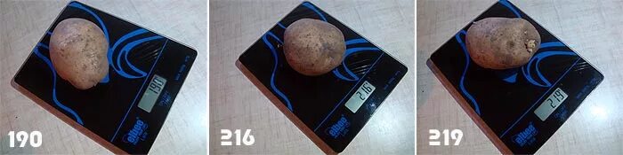 Вес 1 картофеля. Картофель средний вес 1 шт. Картофель вес 1 штуки. Вес картофеля 1 шт. Вес одной картошки средней.