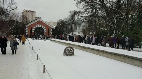 Очередь в аптекарский огород