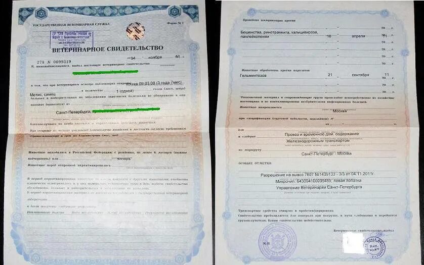 Форма 5 животных. Ветеринарное свидетельство формы 1 коровы. ветеринарная справка формы 1 для животных. ветеринарное свидетельство (forma №3). ветсправка для перевозки животных.