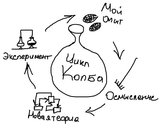 Цикл Дэвида колба. Метод Дэвида колба. Дэвид колб цикл обучения. Стадии цикла обучения колба. Цикл тренинга