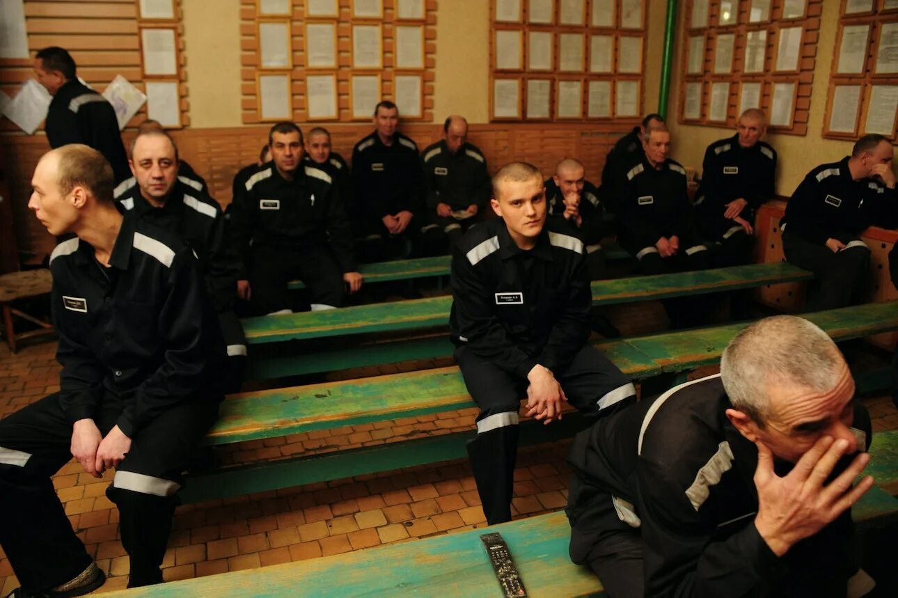 Высшее в колонии