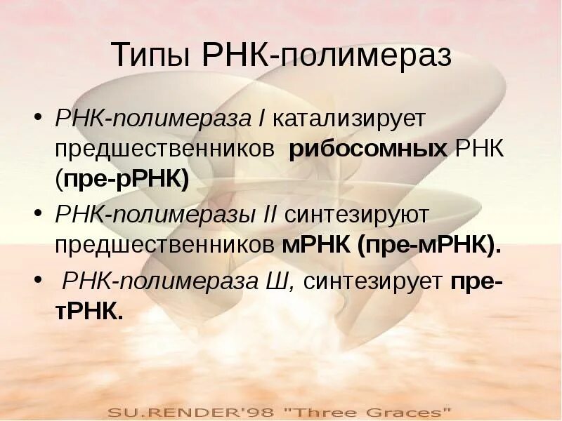 Рнк полимераза типы. Типы рнк полимеразы. рнк полимераза виды. основные типы рнк полимераз. рнк-полимераза ii осуществляет синтез.