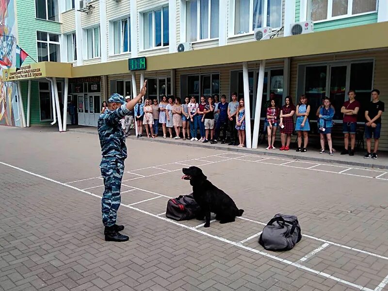 Правоохранительный колледж Белгород кинологи. ЦКС Белгород. ЦКС УМВД России по Белгородской области. Правоохранительный колледж Бурцева Белгород.