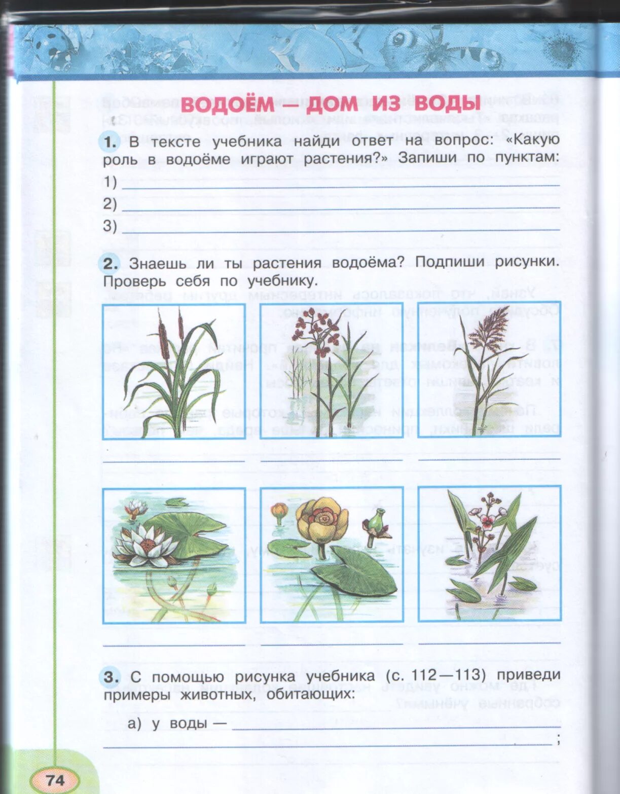 Проверочная работа 3 класс стр 74. Водоем дом из воды окружающий мир 3 класс перспектива рабочая тетрадь. Окружающий мир 3 класс рабочая тетрадь 1 часть Плешаков ответы стр 74-76. Окружающий мир 3 класс рабочая тетрадь 1 часть Плешаков Новицкая. Окружающий мир рабочая тетрадь 1 часть.