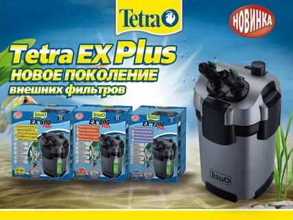 Ново тетра