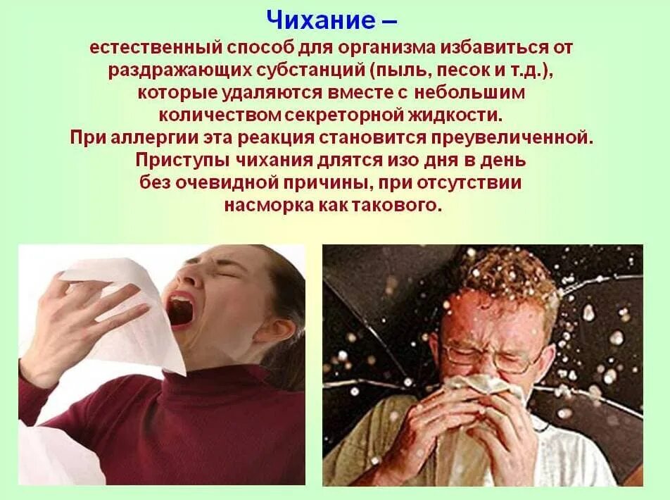 Постоянно чихаю