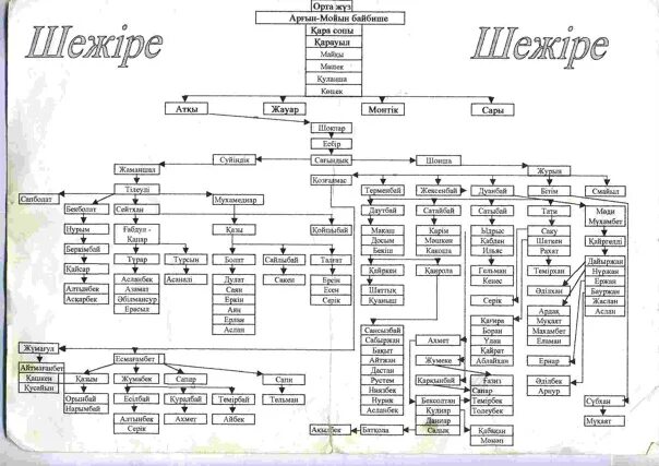 Кіші жүз ханы. Род Аргын Древо у казахов. Родословная казахов среднего жуза Керей. Родословная казахов Аргын. Казахское шежире.