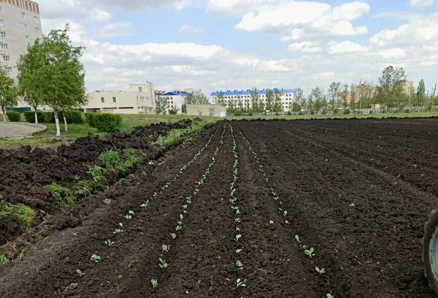 микрорайон Опытное Поле, 5 - Котельники многоквартирный жилой дом