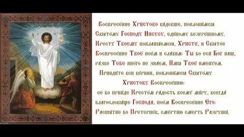 Се бо еси