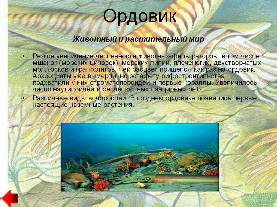 Ордовикский период – ордовик. Палеозойская эра ордовикский период. Ордовикский период мир растений. Ордовикский период таблица. Ордовикский период – ордовик.