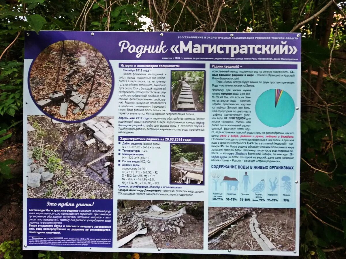 родники томска карта. посёлок родники карта. ближайший родник. царевщина балтайский район. родник божья роса томск.