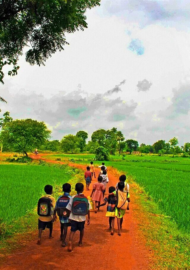 Village children. The Village School. Nature School. School memories