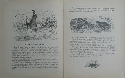 Г скребицкий в лесу