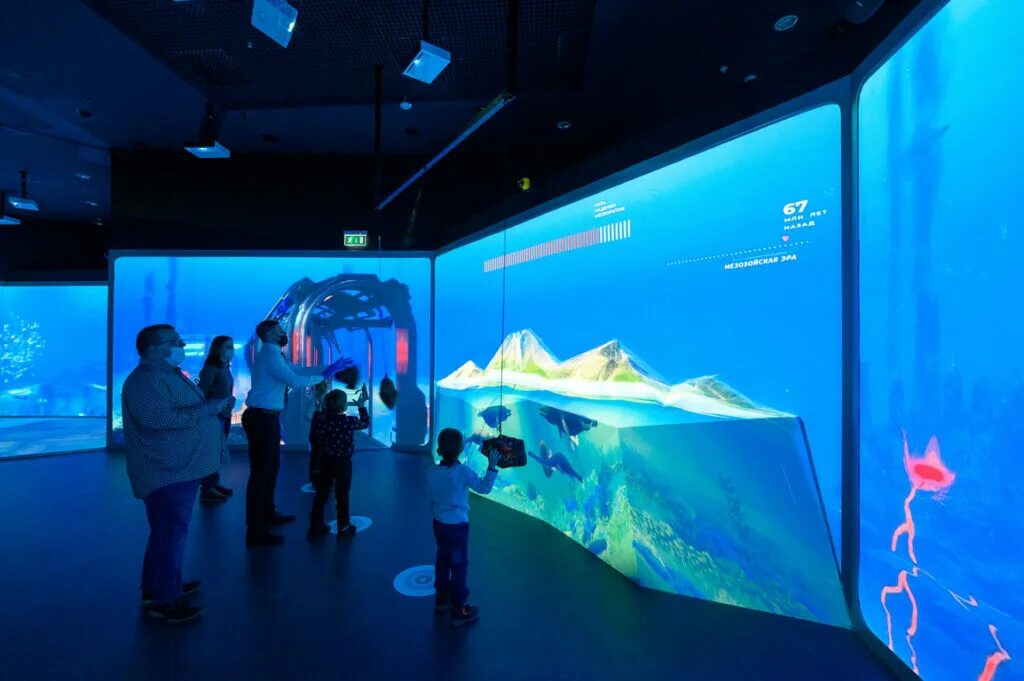 Интерактивная мультимедийная выставка. Мультимедийная выставка «океан Юрского периода». Интерактивная выставка. Экспозиция подводный мир. Фотовыставка «океан в городе».
