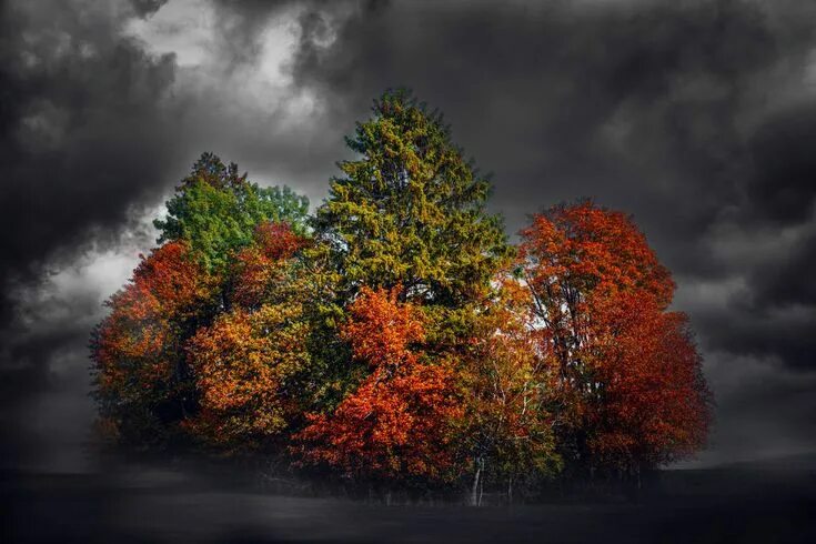 THOSE DARK AUTUMN DAYS on Behance Dark autumn, Autumn photography, Autumn aesthe