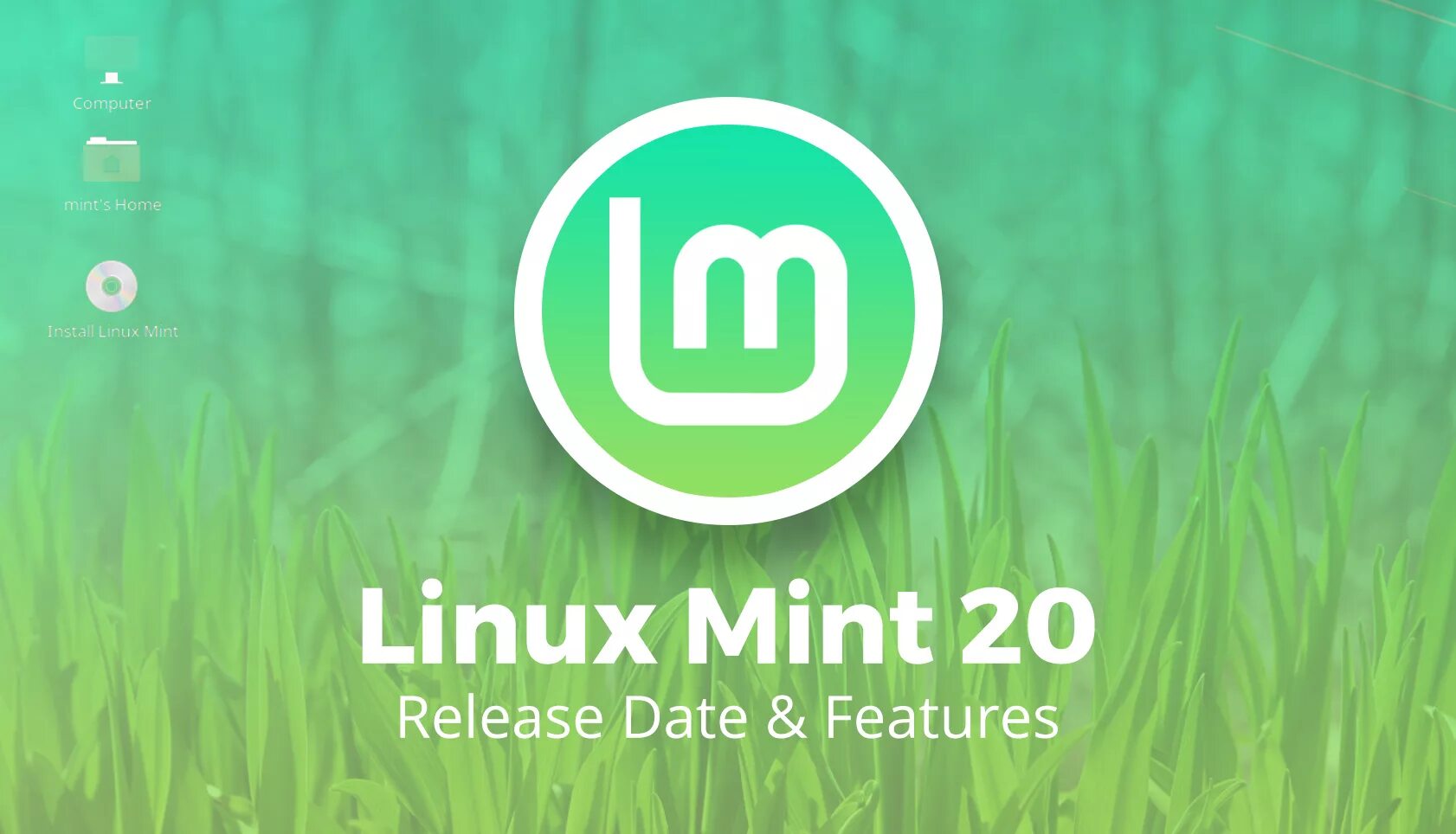 Mint live. Mint 20 Cinnamon. Линукс минт. Linux Mint 20. Linux Mint 20.1.