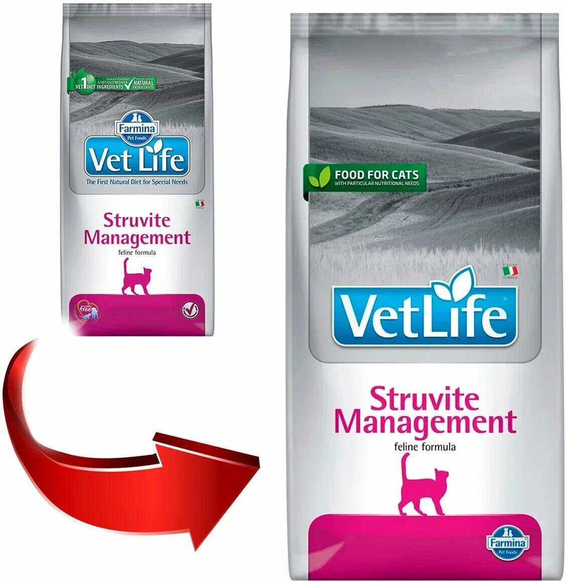 Vet Life Struvite Management для кошек. Фармина Струвит менеджмент. Карни лайф корм для кошек. Пробник корма лайф до.