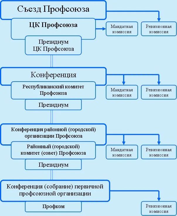 организационная структура профсоюзной организации. схема первичной профсоюзной организации. направления работы профсоюзной организации. организации структурными подразделениями профсоюза. организационная структура первичной профсоюзной организации.