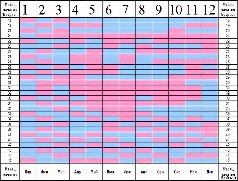Таблица планирования пола будущего ребенка. Китайский метод планирования пола ребенка таблица. Календарь зачатия пола ребенка китайская таблица. Японский метод планирования пола ребенка таблица планирования. Календарь беременности по годам