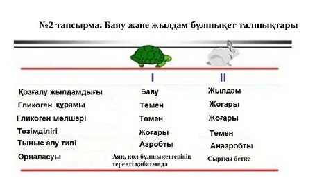 Кішкентай кеуделері бар аяқты брюнетканың порно видеосы